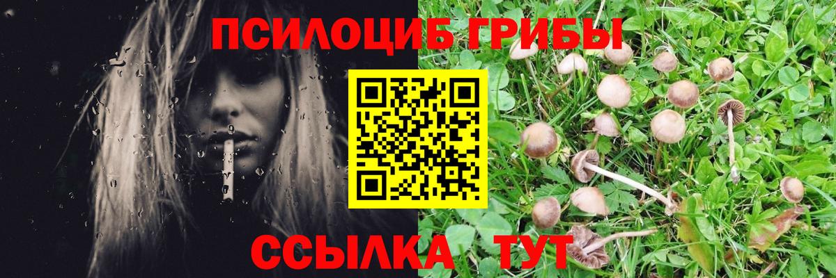Псилоцибиновые грибы ЛСД  Вход с VPN  Алушта  Галлюциногенные грибы прущие грибы 
